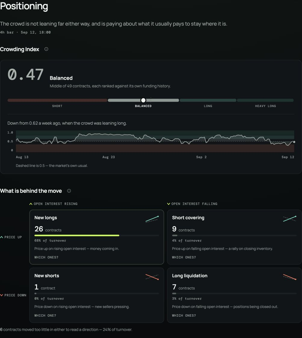 CoinScreener Positioning showing the Crowding Index, observation timestamp and free-access notice.